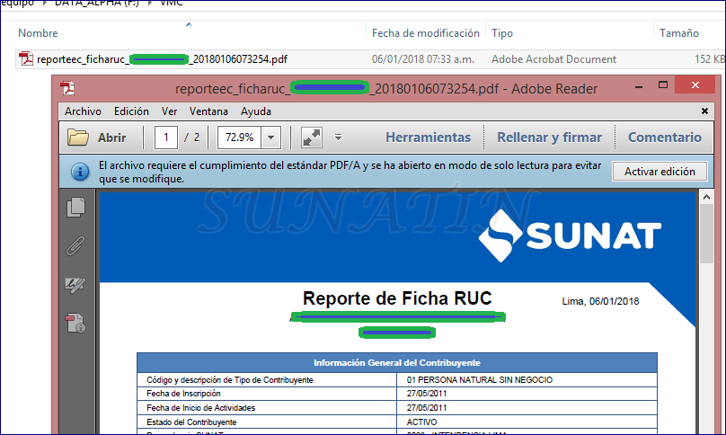 2018_FichaRucElectronica1b