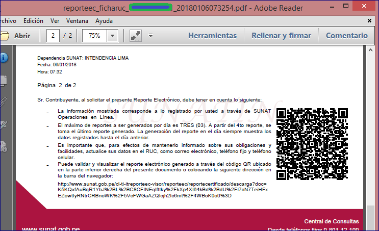 2018_FichaRucElectronica2