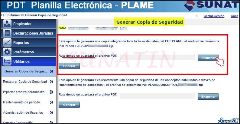 PLAME-Copia-Seguridad-Backup-05