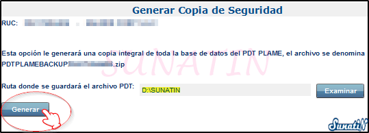 PLAME-Copia-Seguridad-Backup-07