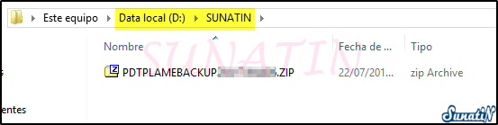 PLAME-Copia-Seguridad-Backup-09