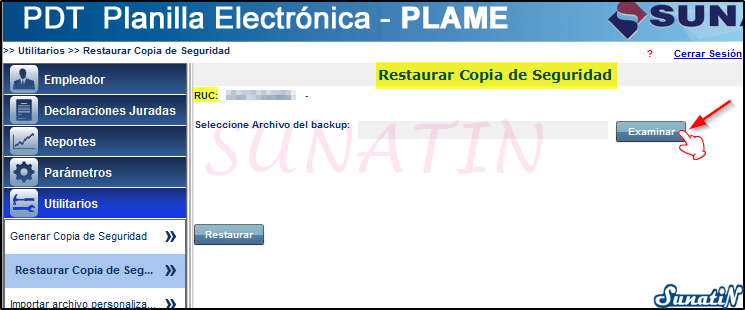PLAME-Copia-Seguridad-Backup-Restaurar-04